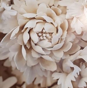 Meet your Posher, Roz